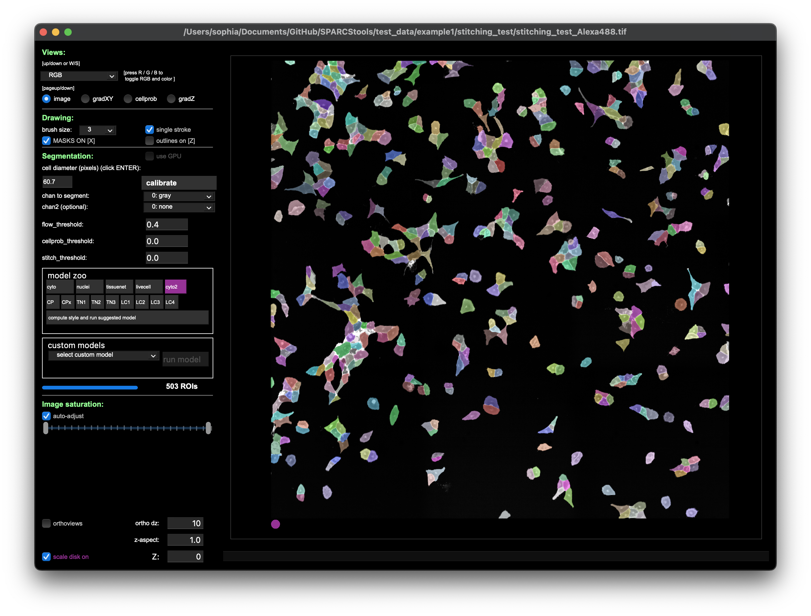 Cellpose Segmentation