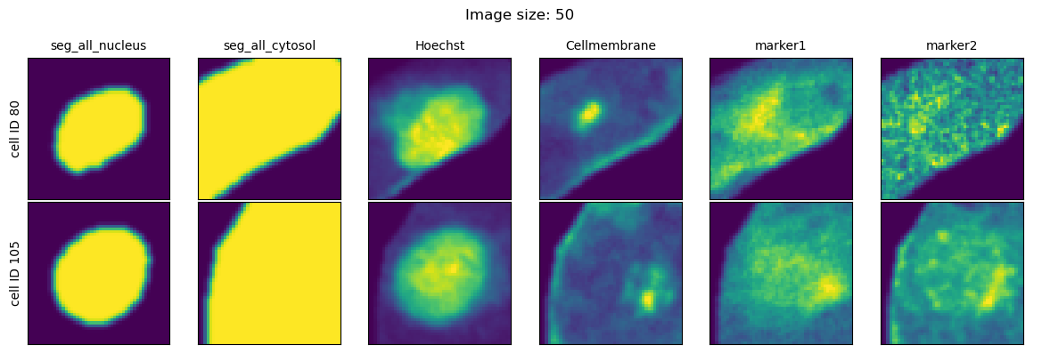 ../../_images/pages_notebooks__notebook_single_cell_extraction_configuration_10_1.png