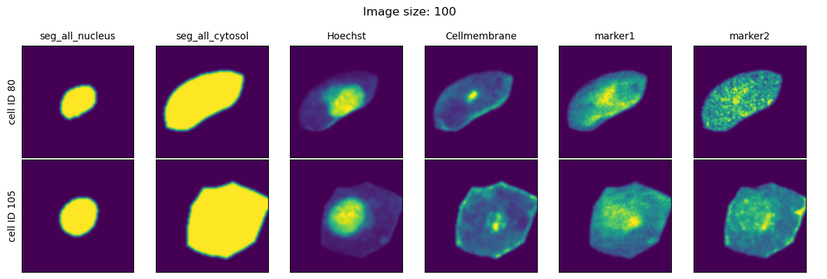 ../../_images/pages_notebooks__notebook_single_cell_extraction_configuration_10_3.png