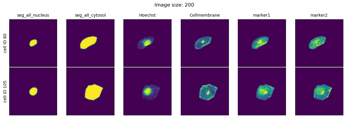 ../../_images/pages_notebooks__notebook_single_cell_extraction_configuration_10_5.png