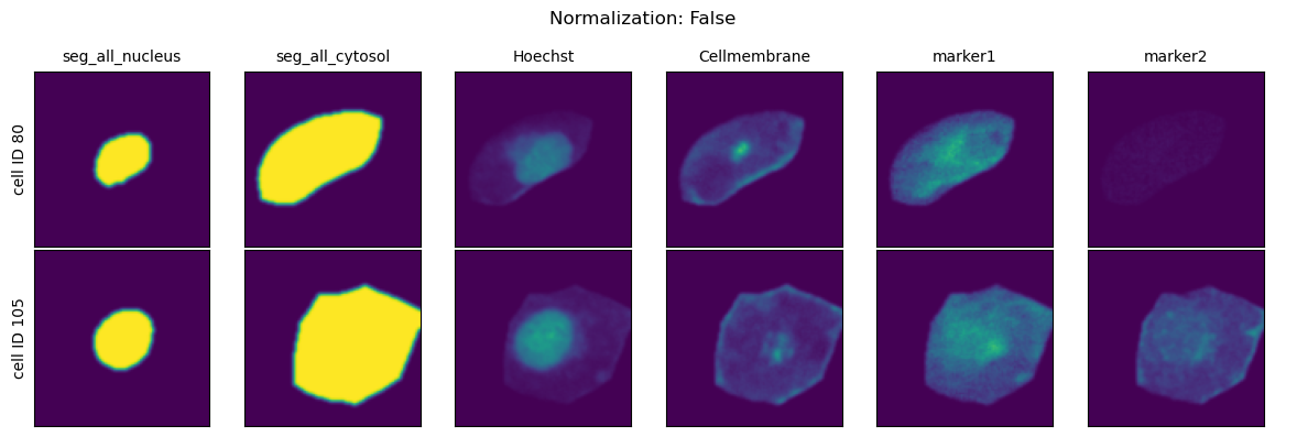 ../../_images/pages_notebooks__notebook_single_cell_extraction_configuration_14_1.png