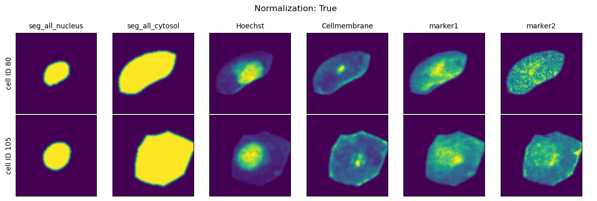 ../../_images/pages_notebooks__notebook_single_cell_extraction_configuration_14_3.png