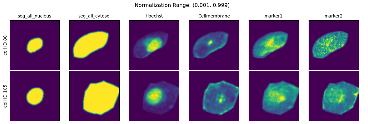../../_images/pages_notebooks__notebook_single_cell_extraction_configuration_16_3.png