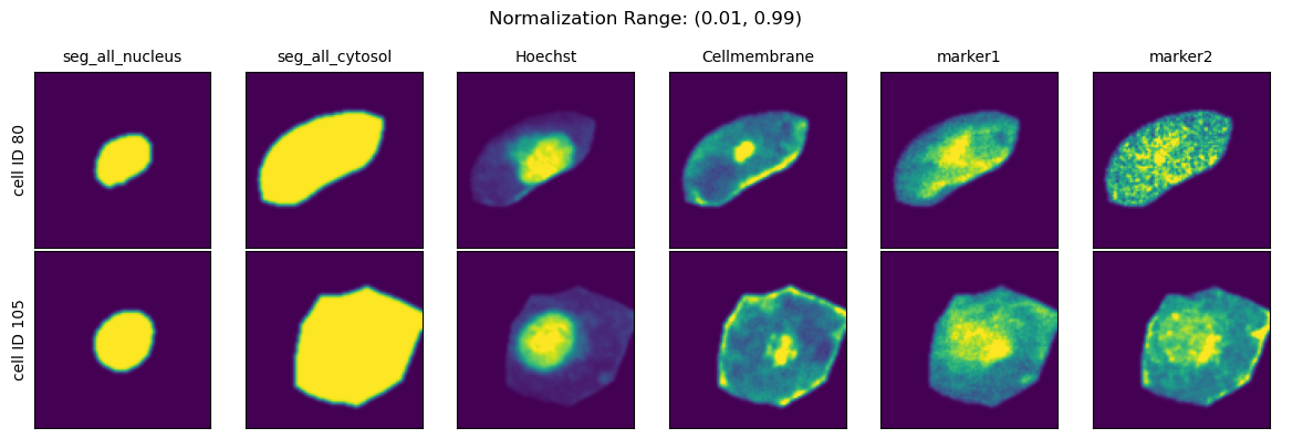 ../../_images/pages_notebooks__notebook_single_cell_extraction_configuration_16_5.png