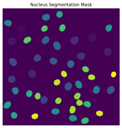 ../../_images/pages_notebooks_example_notebook_segmentation_workflows_15_0.png