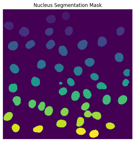 ../../_images/pages_notebooks_example_notebook_segmentation_workflows_29_0.png