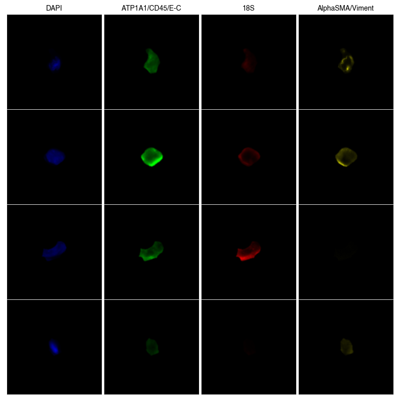 ../../_images/pages_notebooks_Fig_2_13_1.png