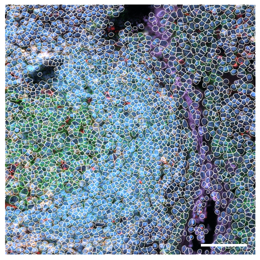 ../../_images/pages_notebooks_Fig_S3_9_1.png